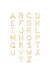 ADD LARGE LETTER TO CUSTOM ORDER