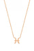 Rose Gold Pisces Necklace