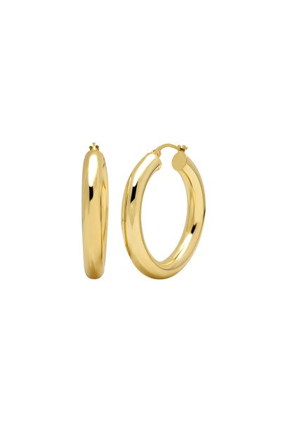 Sade's signature diamond hoop earrings — Donald Edge
